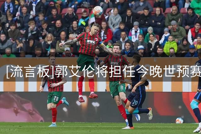 [流言板]郭艾伦将担任今晚世预赛中国男篮vs卡塔尔男篮的解说嘉宾